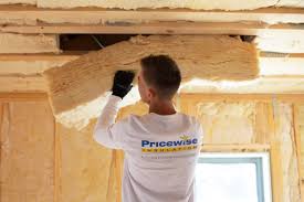 Best Insulation Removal  in Solomons, MD